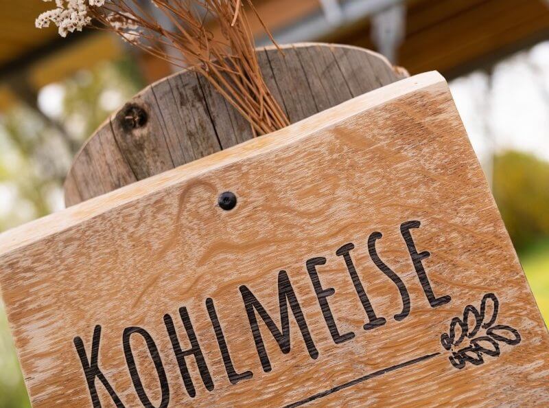 baumhaus-kohlmeise