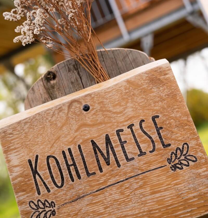 baumhaus-kohlmeise