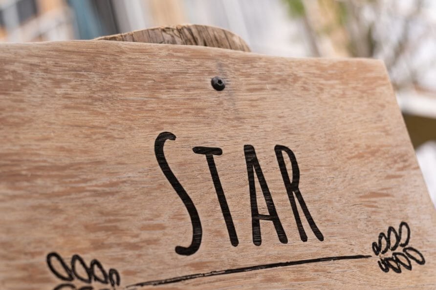 baumhaus-star